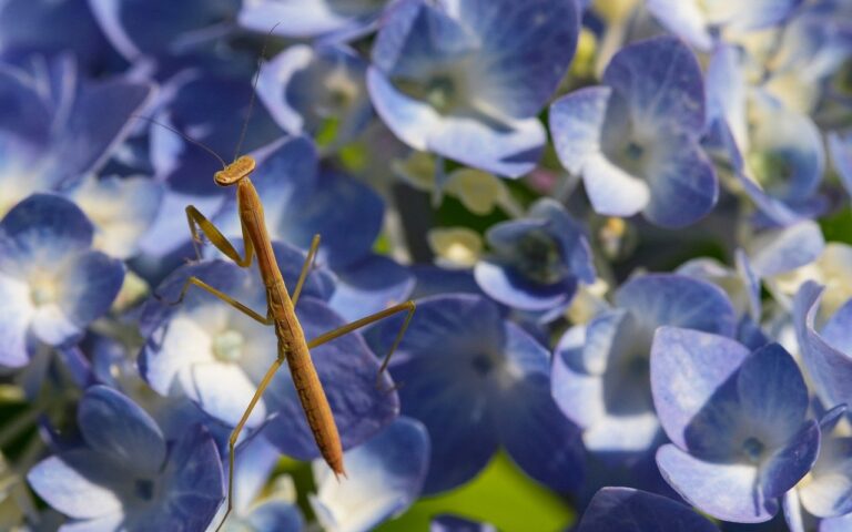 découvrez des aventures en plein air inoubliables avec outdoor explorations : randonnées, camping, activités nature et conseils pour explorer les grands espaces en toute sécurité.